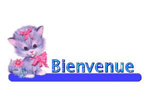 Gif animé bienvenue chat